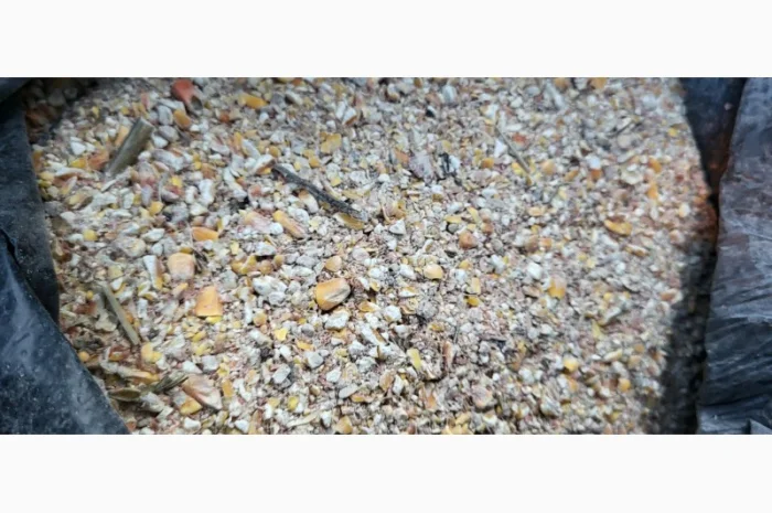 Куплю зерновідходи з кукурудзи- фото № 1