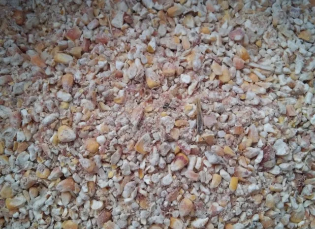 Закупівля відходів кукурудзи та некондиції- фото № 1