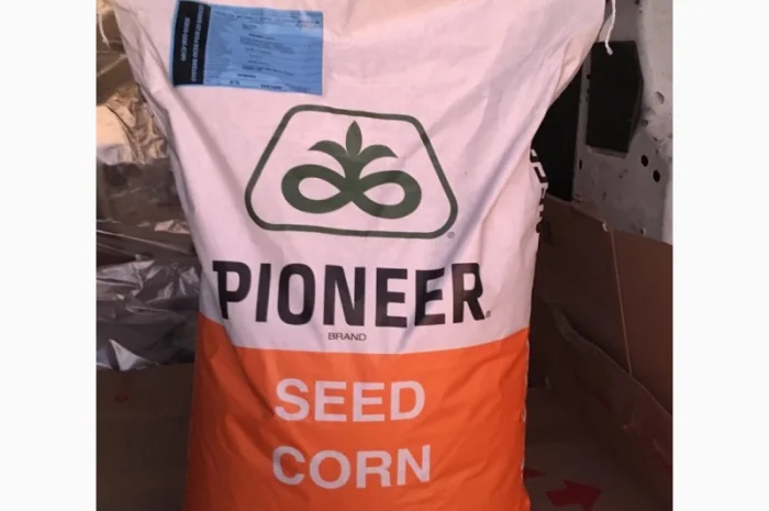 Кукурудза Монсанто на продаж- фото № 10