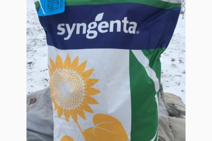 Кукурудза Монсанто на продаж- фото № 3