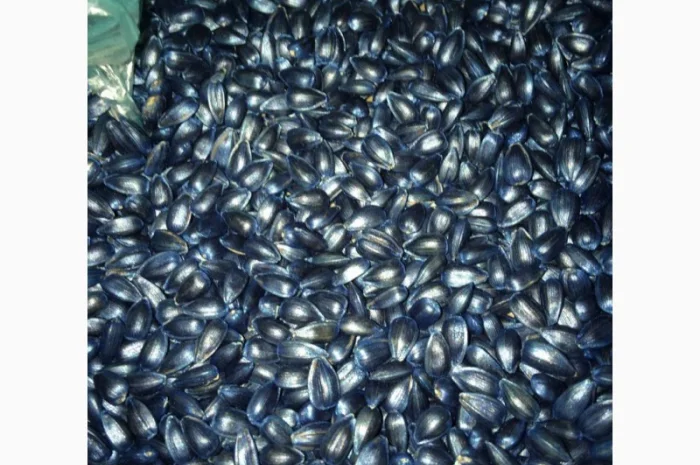 Кукурудза Монсанто на продаж- фото № 6