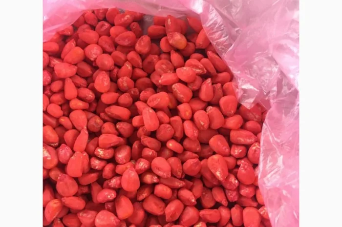 Кукурудза Монсанто на продаж- фото № 8