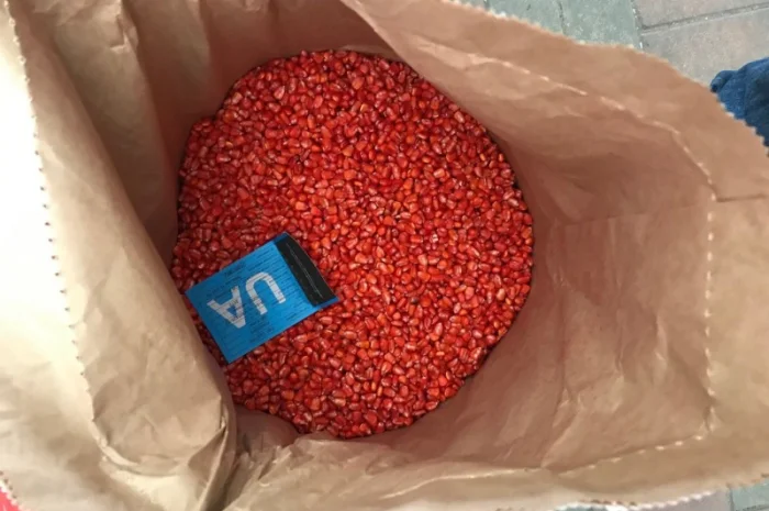 Семена кукурузы, кукуруза посевная, гибриды кукурузы большой выбор- фото № 1