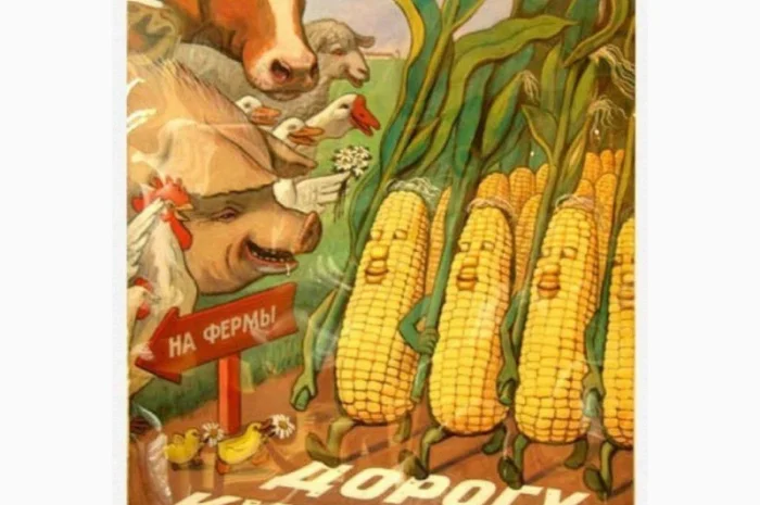 Кукурудза на FOB- фото № 1