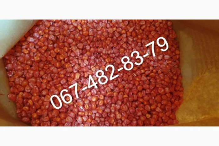 Продаю семена кукурузы ADEL ФАО 260- фото № 1