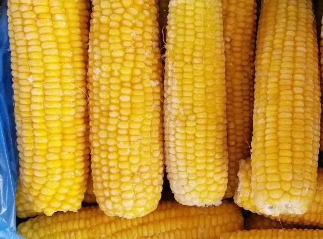 Кукурудза заморожена бланшована- фото № 1