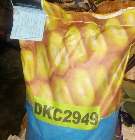 Семена кукурузи Dekalb від Monsanto. Оригінал 100%- фото № 1
