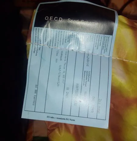 Семена кукурузи Dekalb від Monsanto. Оригінал 100%- фото № 2