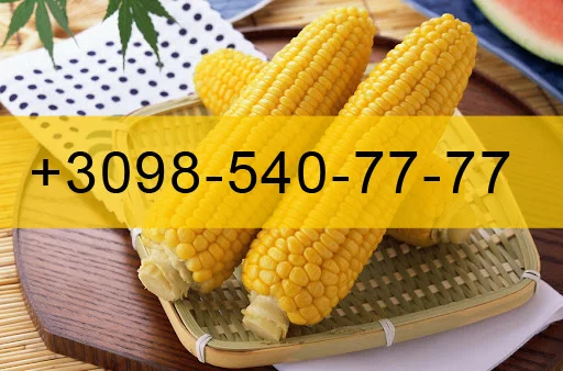 Закупка кукурудзи врожаю 2023 року- фото № 1