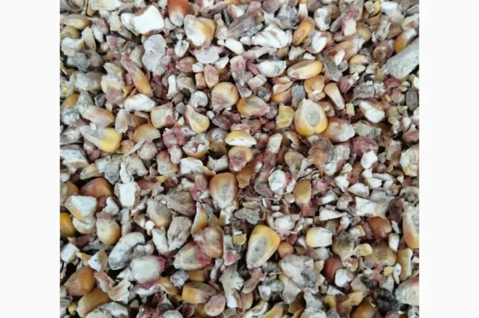 Куплю отходы кукурузы- фото № 1