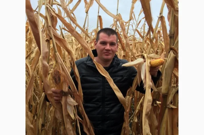 ГРАН 6 - семена гибрида кукурузы ФАО 300- фото № 1