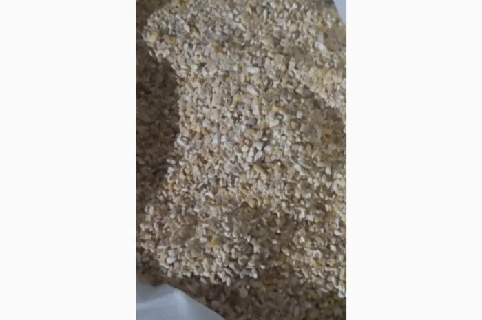 Продам кукурудзяну крупу- фото № 2