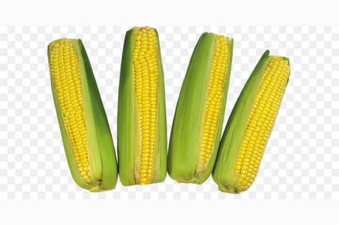 Крупным оптом куплю кукурузу- фото № 1