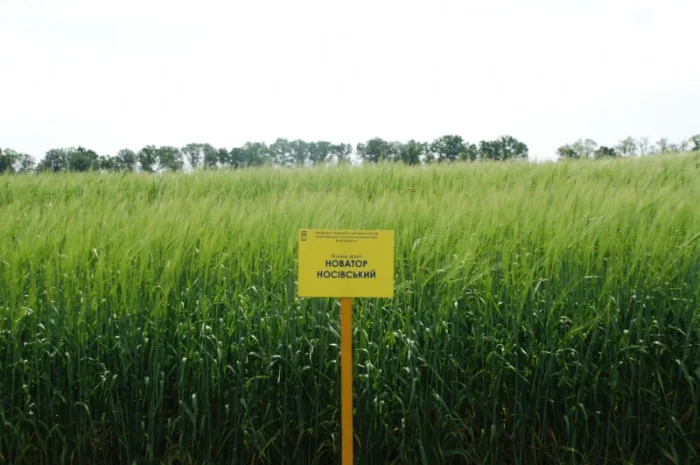 Продаж ячменю ярого- фото № 16