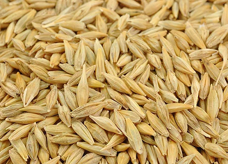 Ячмень Куплю КРЕМЕНЧУГ вся Полт.обл- фото № 1