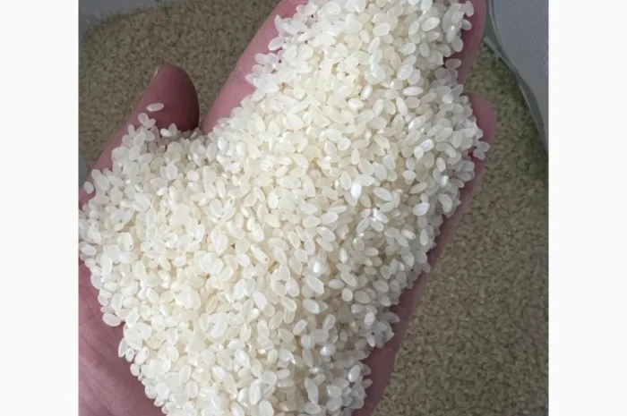 Рис круглий- фото № 1