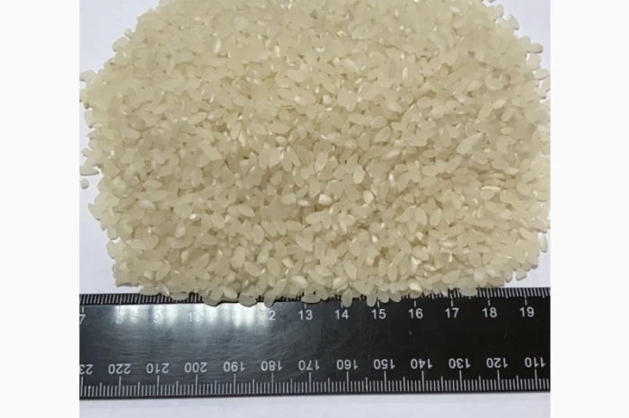 Рис для суши- фото № 1