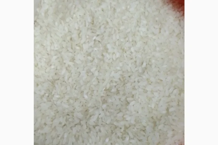 Рис Камолино- фото № 2