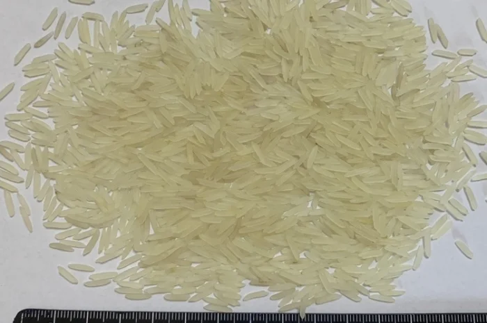 Рис Басмати- фото № 2