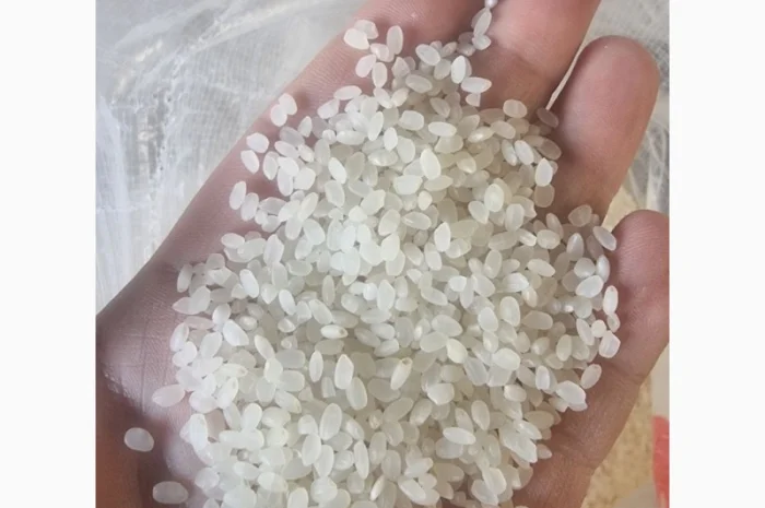 Рис для суші/Рис для суши (ОПТ від 5 т, ціна за 1 КГ)- фото № 1