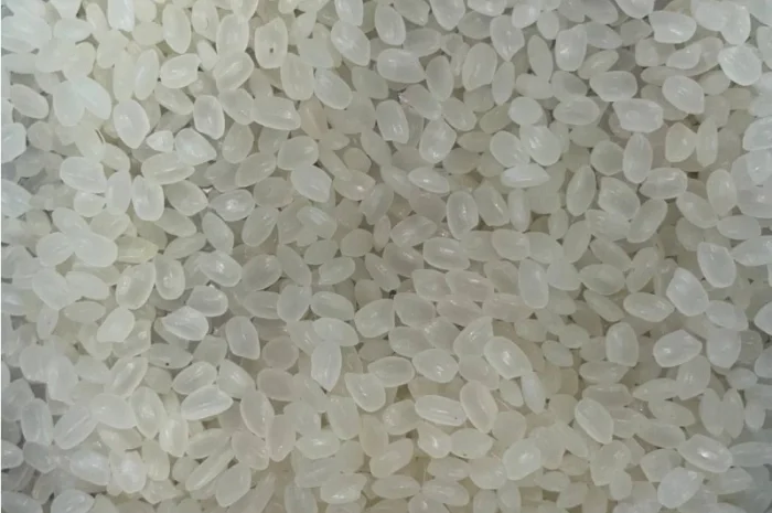 Рис круглозернистий в мішку- фото № 2