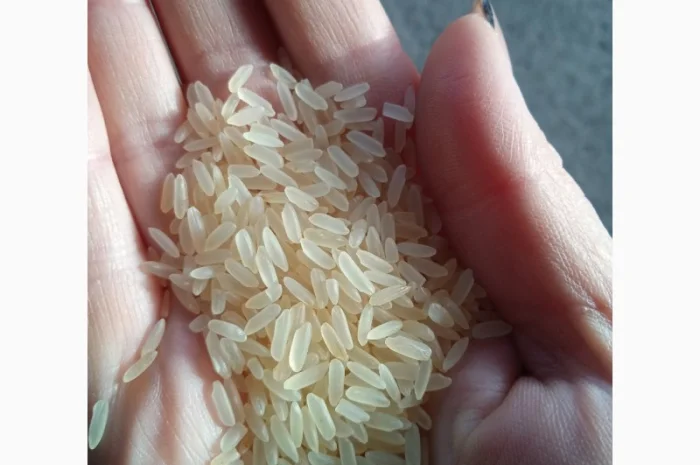 Продам імпортний рис- фото № 2