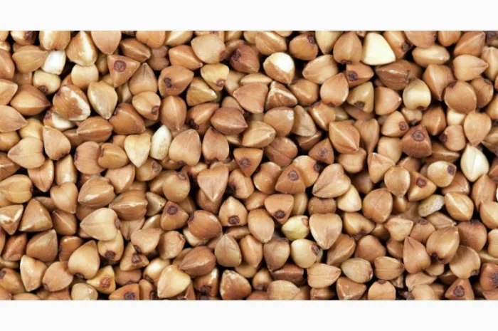 Семена гречихи сорт Крупинка элита 1 репрод- фото № 1