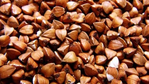 Продаж гречки сорту Гренбі- фото № 1