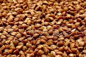 Гречка. Зерно гречки. Від 5 тонн- фото № 1