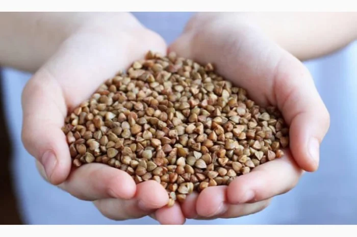 Оптовий продаж зерна гречки- фото № 1