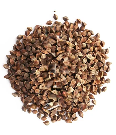 Гречка нового урожая – опт- фото № 1