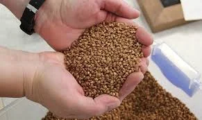 Продаж високоякісної гречки- фото № 1