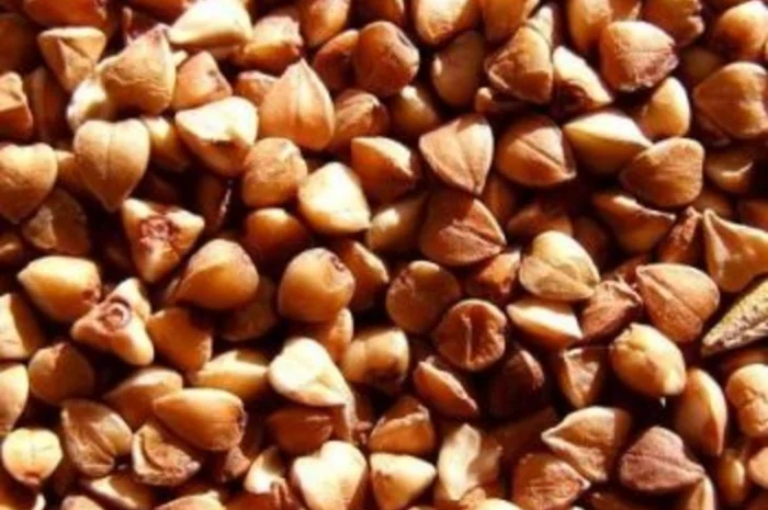 Крупозавод покупает Гречиху, Чернигов вся Черниговская обл- фото № 1