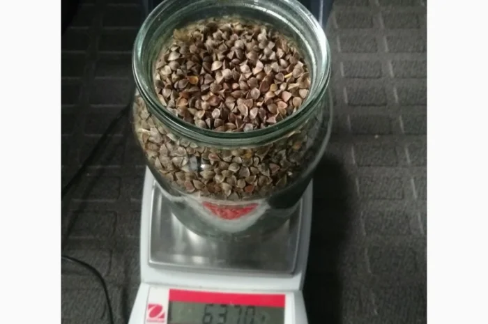 Закупівля зерна гречки на переробку- фото № 1