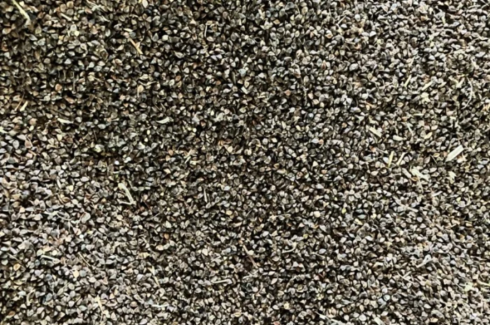 Гречка, сорт Арно ~7-8тонн- фото № 4