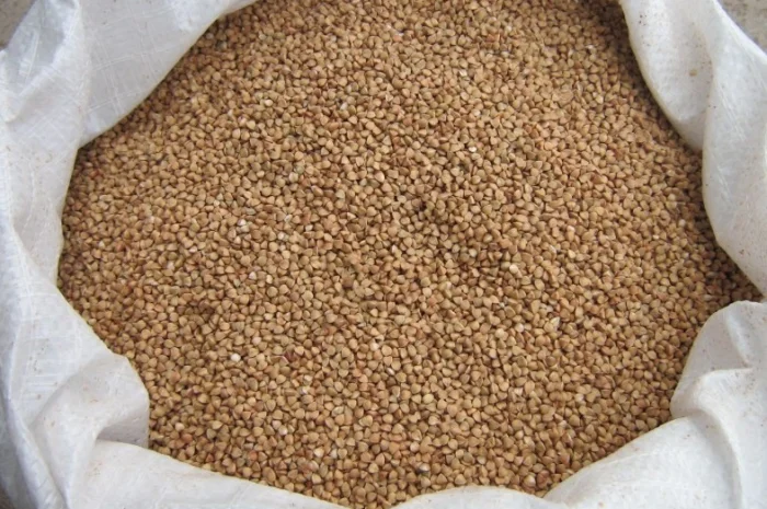 Гречка, крупа гречана в мішках 50 кг- фото № 1