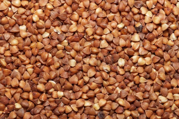 Продаж трансгенного сорту гречки FLORIDA- фото № 2