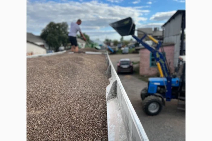 Куплю гречку в Дніпрі- фото № 1