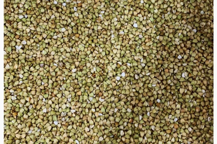 Крупа Гречана зелена (ОПТ від 5 тон, ціна за 1 кг)- фото № 1