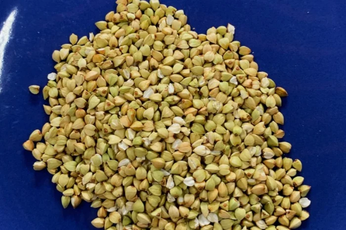 Крупа Гречана зелена (ОПТ від 5 тон, ціна за 1 кг)- фото № 3