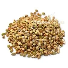 Гречка, гречиха, зерно гречки. Оптовий продаж- фото № 1