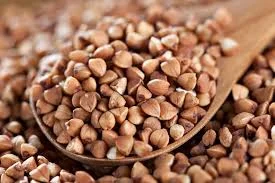 Гречка від виробника оптом- фото № 1