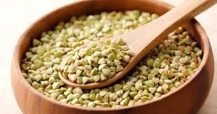 Продам зерно гречки оптом (від 5 тонн)- фото № 1