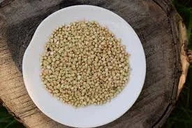 Гречка. Гречиха. Зерно гречки. Опт- фото № 1