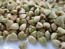 Реалізуємо гречку (від 5 тонн)- фото № 1