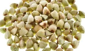 Гречиха (гречка) оптом від 5 тонн- фото № 1