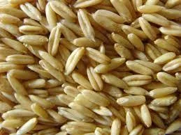 Семена овса ДІЄТИЧНИЙ еліта для продажу- фото № 1