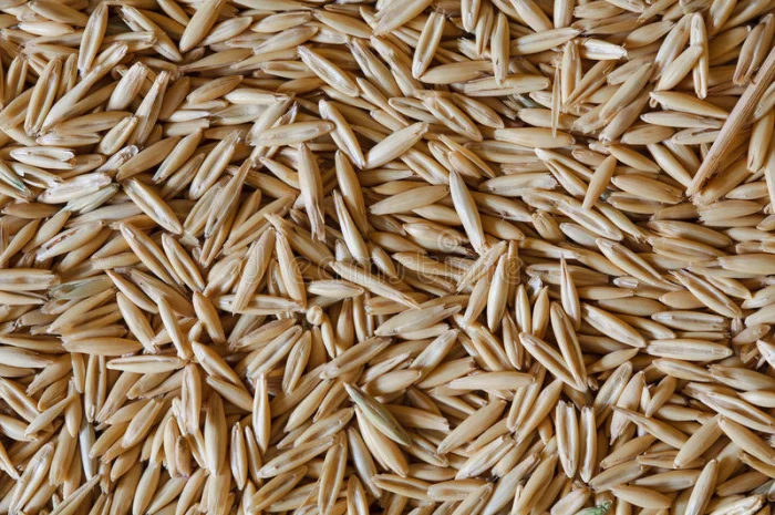 Закупляемо овес и отходи на самовивоз- фото № 1