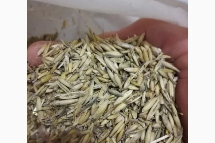 Продам отходы овса- фото № 1