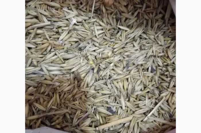 Продам отходы овса- фото № 2